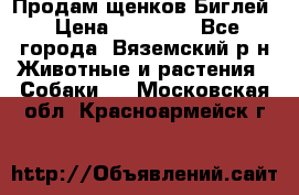 Продам щенков Биглей › Цена ­ 15 000 - Все города, Вяземский р-н Животные и растения » Собаки   . Московская обл.,Красноармейск г.